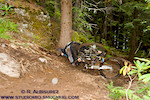 to view/purchase this and other pictures visit www.studiomio.smugmug.com and look for Fluidride Final under Events