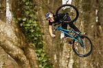 Red Bull introduces Anthony Messere