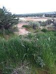 Completely awesome and FREE bike park