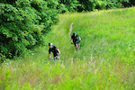 Trail Riders