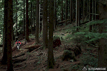 Moving through the woods at good speed.