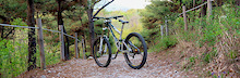 My dh bike.....LEGEND MK-1

Weight-17.1kg